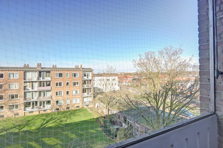 Foto 31 van Koolwitjeshof 5