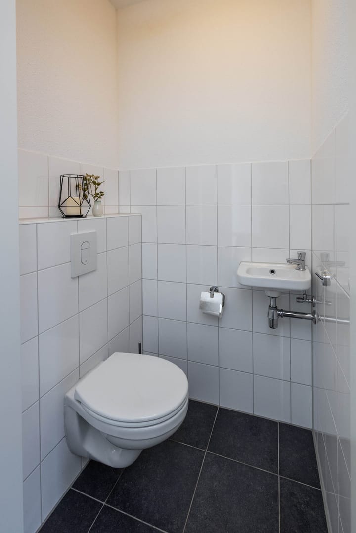 Photo 14 of Rozenbottel 11