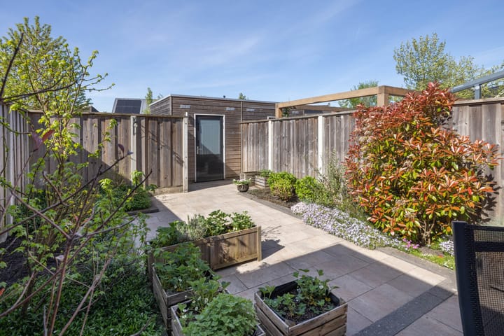 Photo 25 of Rozenbottel 11