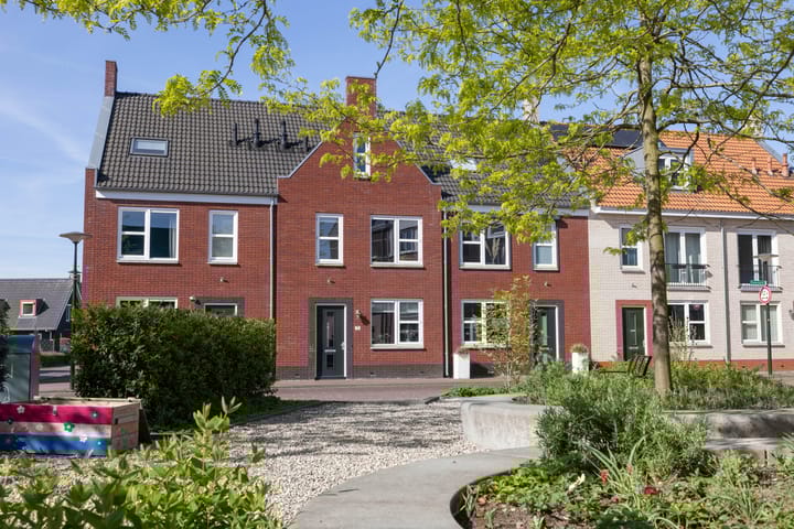 Photo 31 of Rozenbottel 11