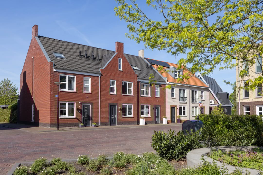 Foto 32 van Rozenbottel 11