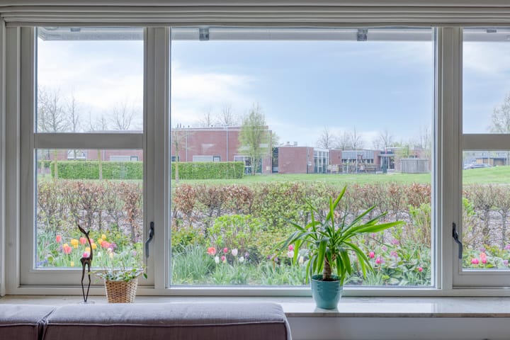 Foto 13 van Havik 22