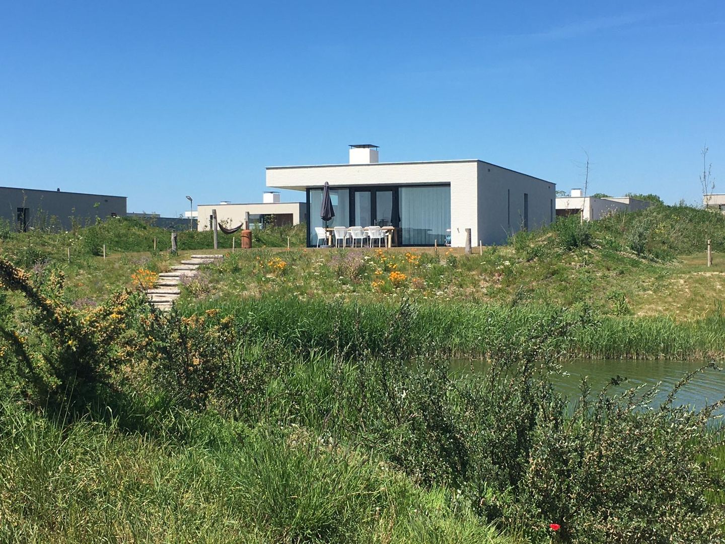 Foto 1 van Duinvallei 16