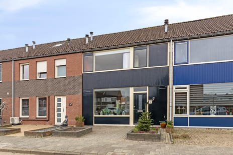 undefined main image