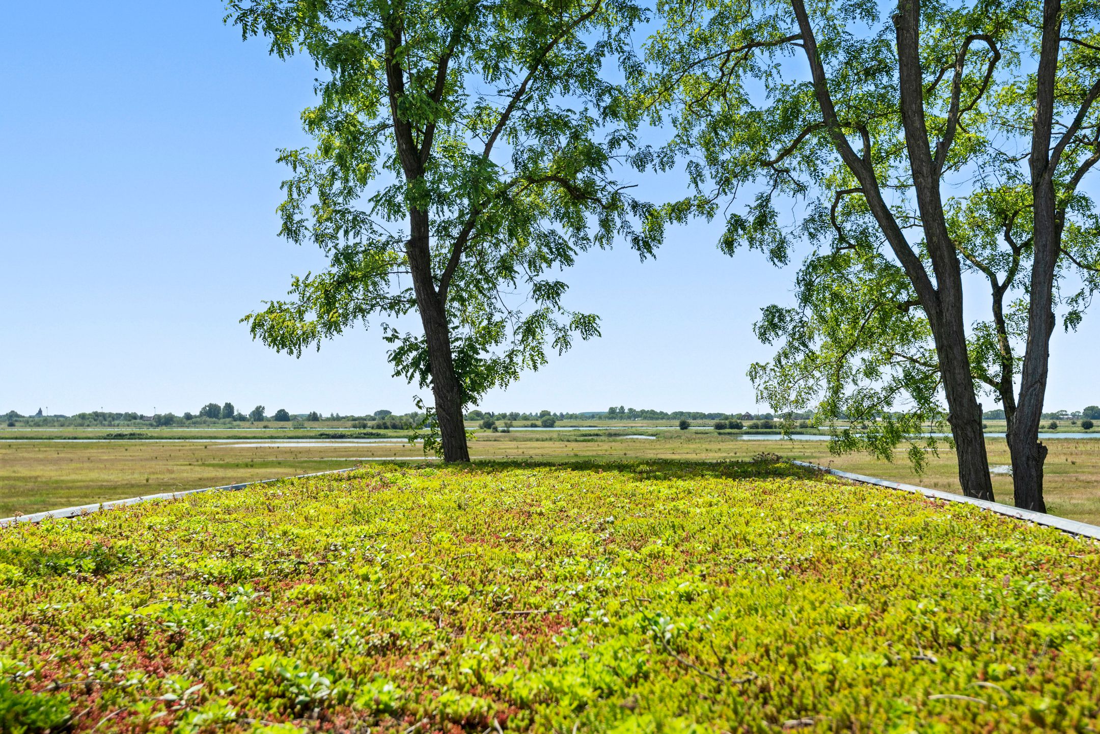 Foto 39 van Rijksstraatweg 256