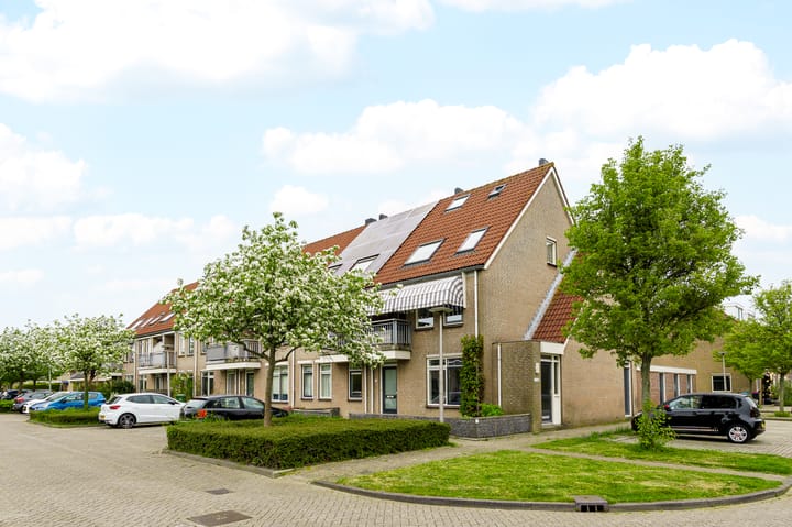 Foto 4 van Zwolse Anjer 49