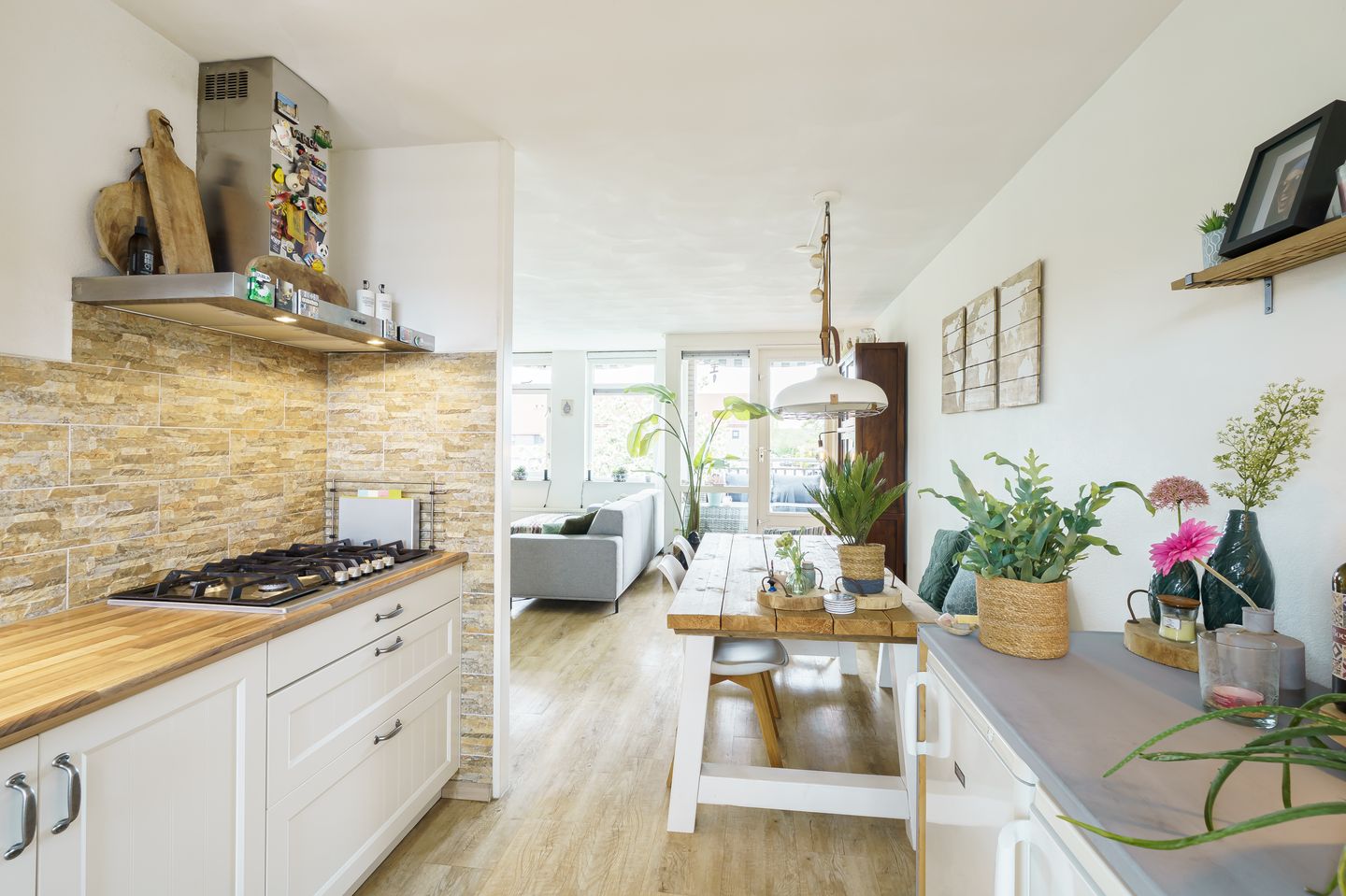 Photo 10 of Zwolse Anjer 49