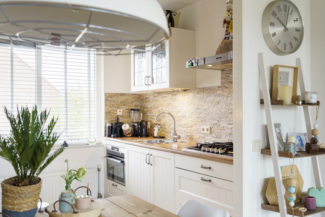 Photo 11 of Zwolse Anjer 49