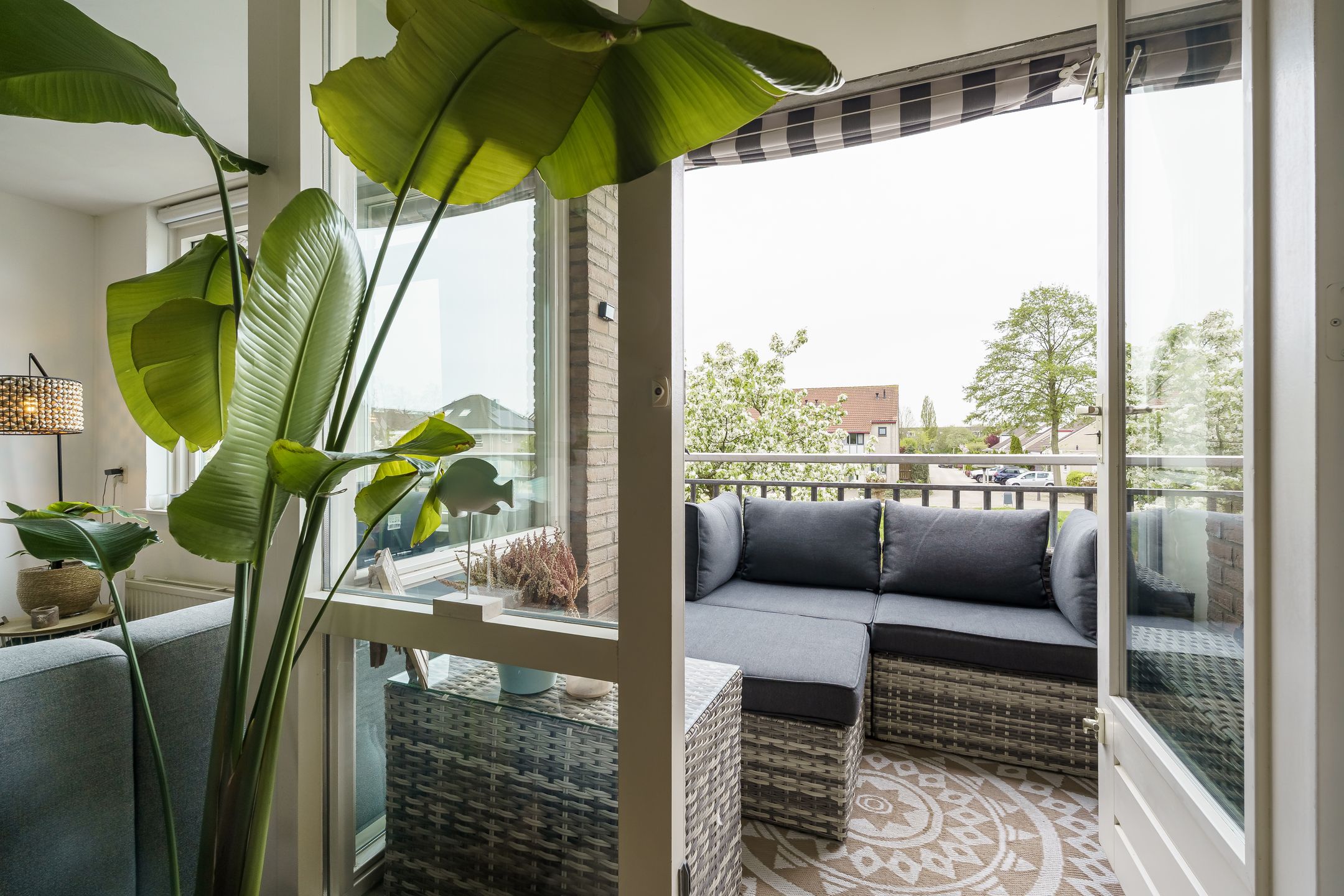 Photo 12 of Zwolse Anjer 49