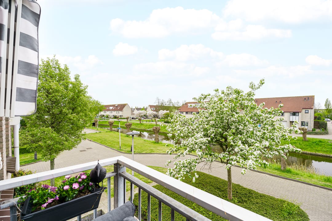 Photo 13 of Zwolse Anjer 49