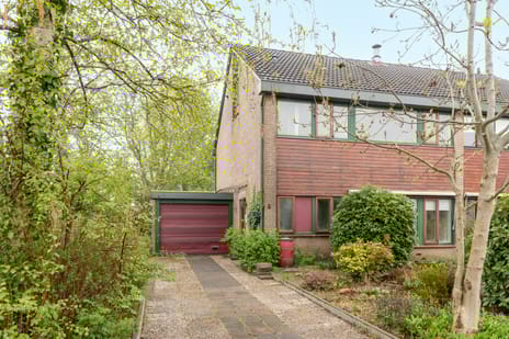 undefined main image