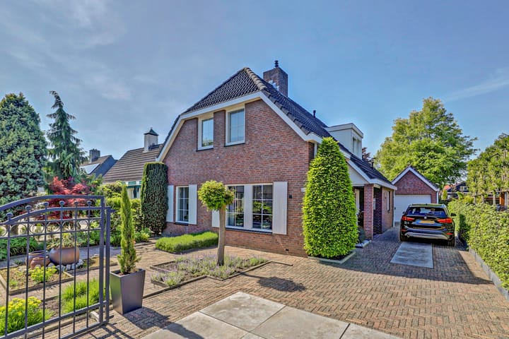 undefined main image