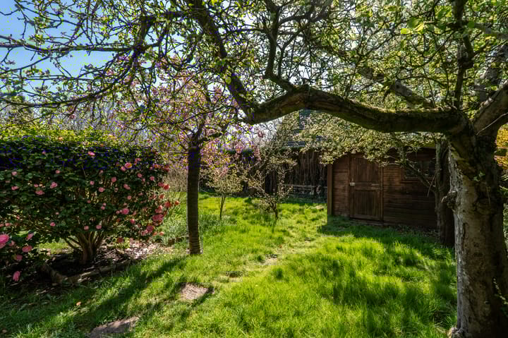 Foto 26 van Beukenlaan 2