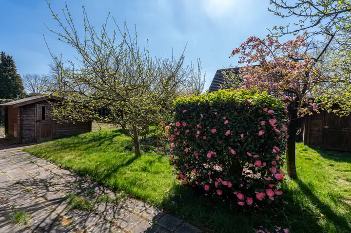 Foto 31 van Beukenlaan 2