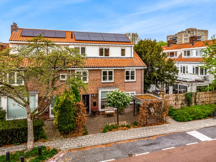 Foto 46 van Carel Fabritiuslaan 57