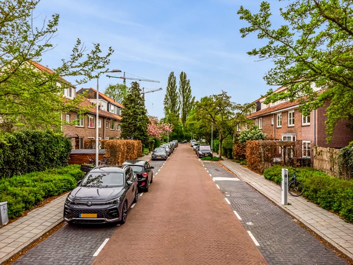 Foto 48 van Carel Fabritiuslaan 57