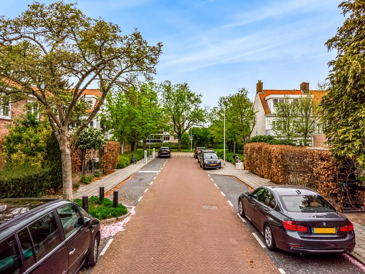 Foto 49 van Carel Fabritiuslaan 57