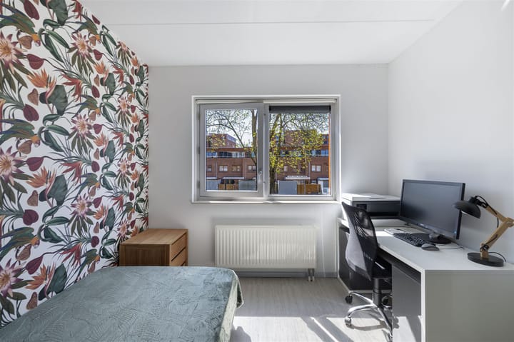 Foto 29 van van den Broekestraat 14