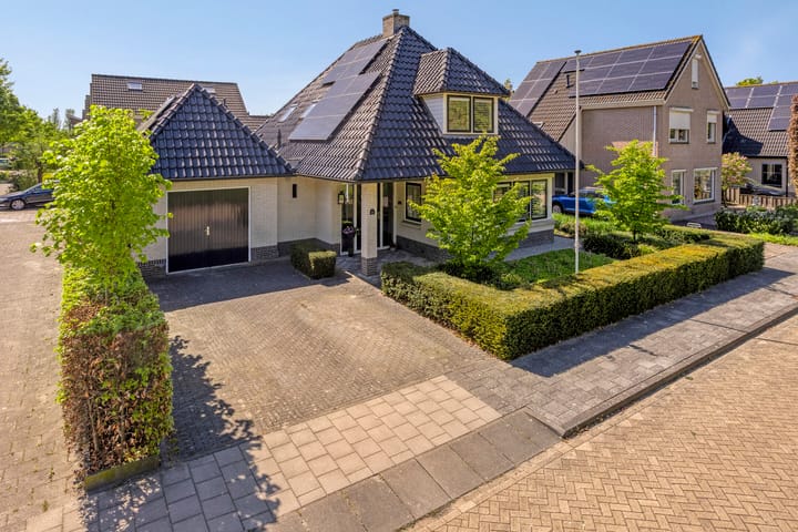 Foto 41 van Terts 21