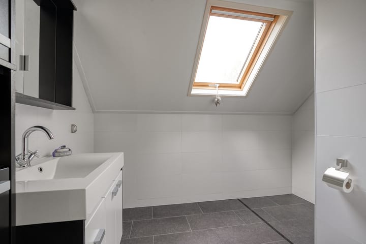 Foto 20 van Dingspil 106