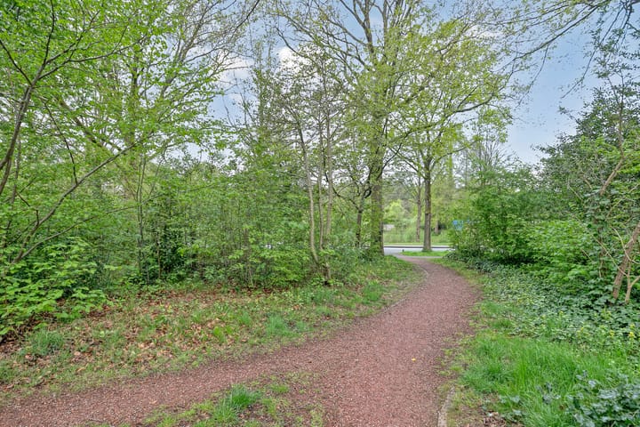 Foto 29 van Dingspil 106