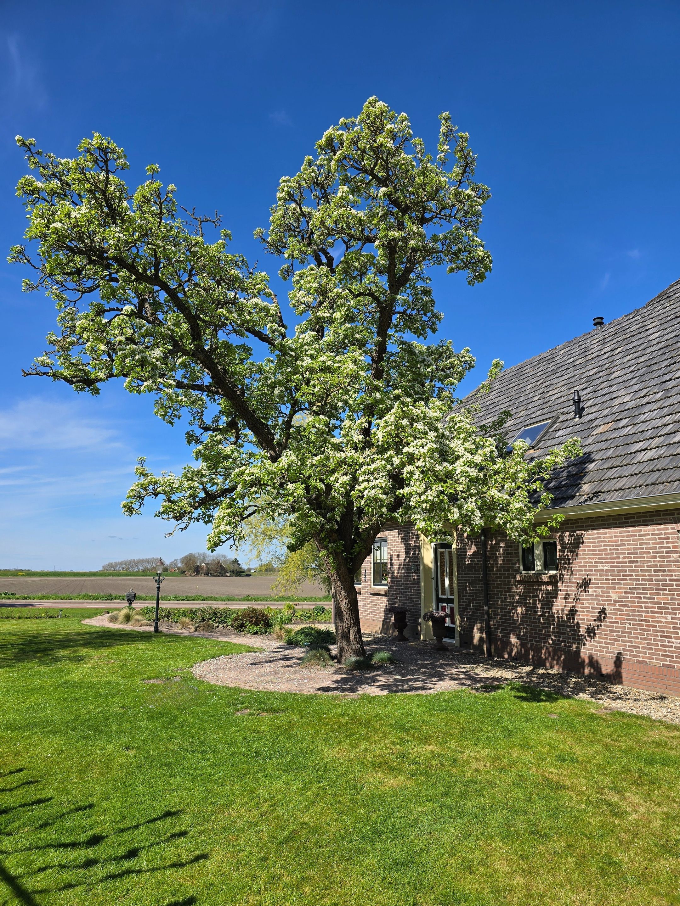 Foto 48 van Noorddijkerweg 66