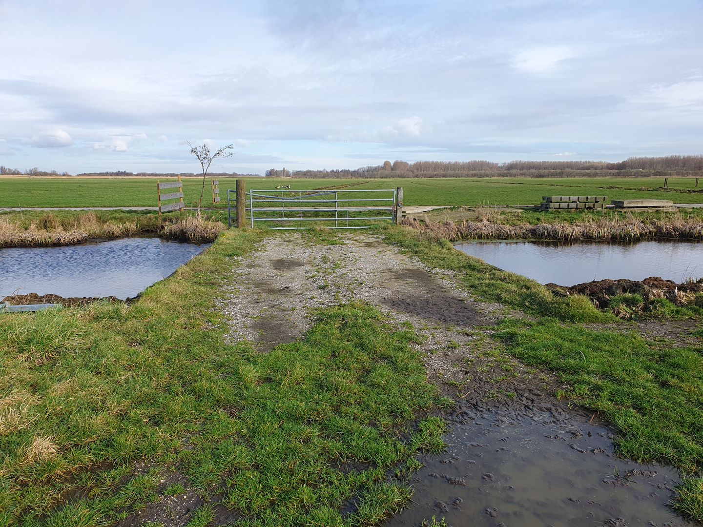 Bekijk foto 3 van Broekpolderweg