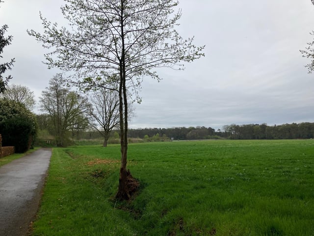 Terwisscha -ONG