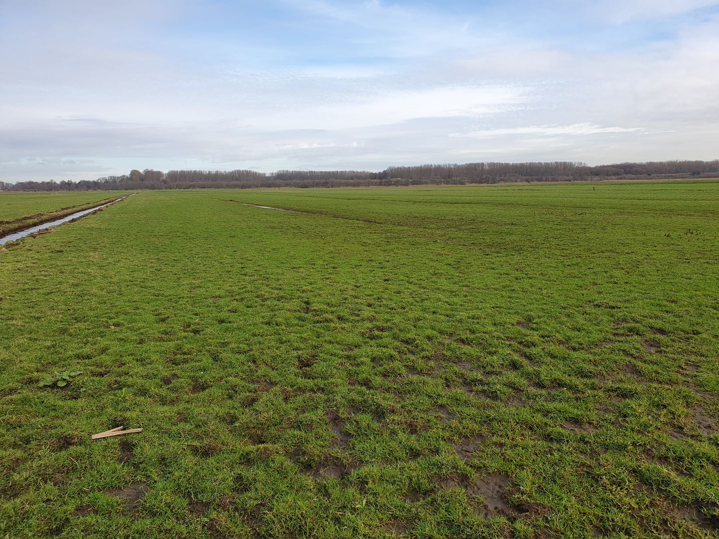 Bekijk foto 5 van Broekpolderweg
