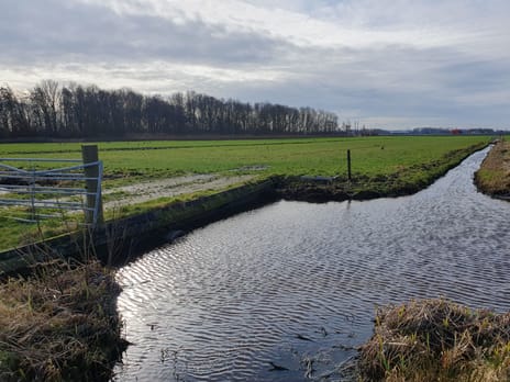 Bekijk foto's