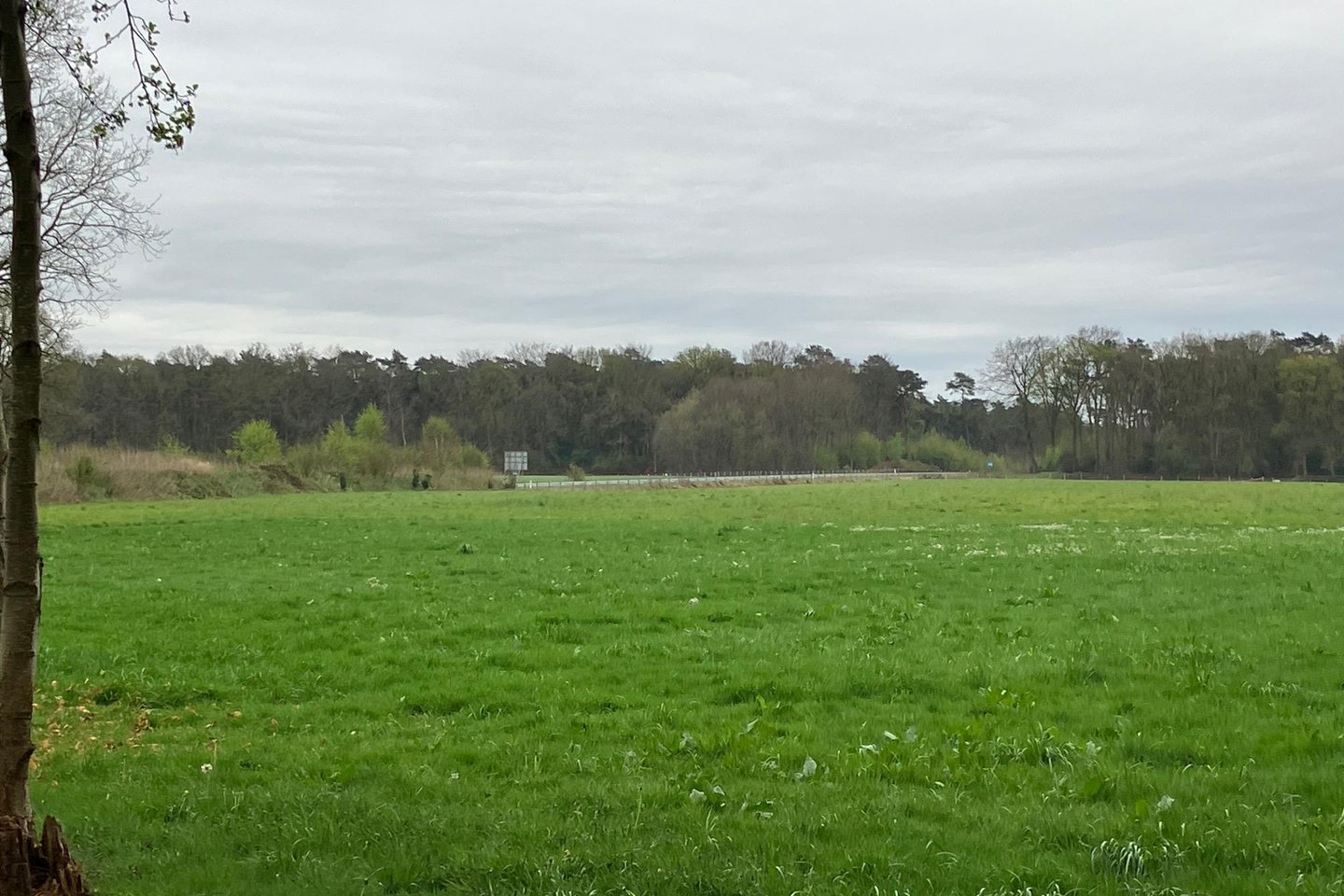 View photo 3 of Terwisscha