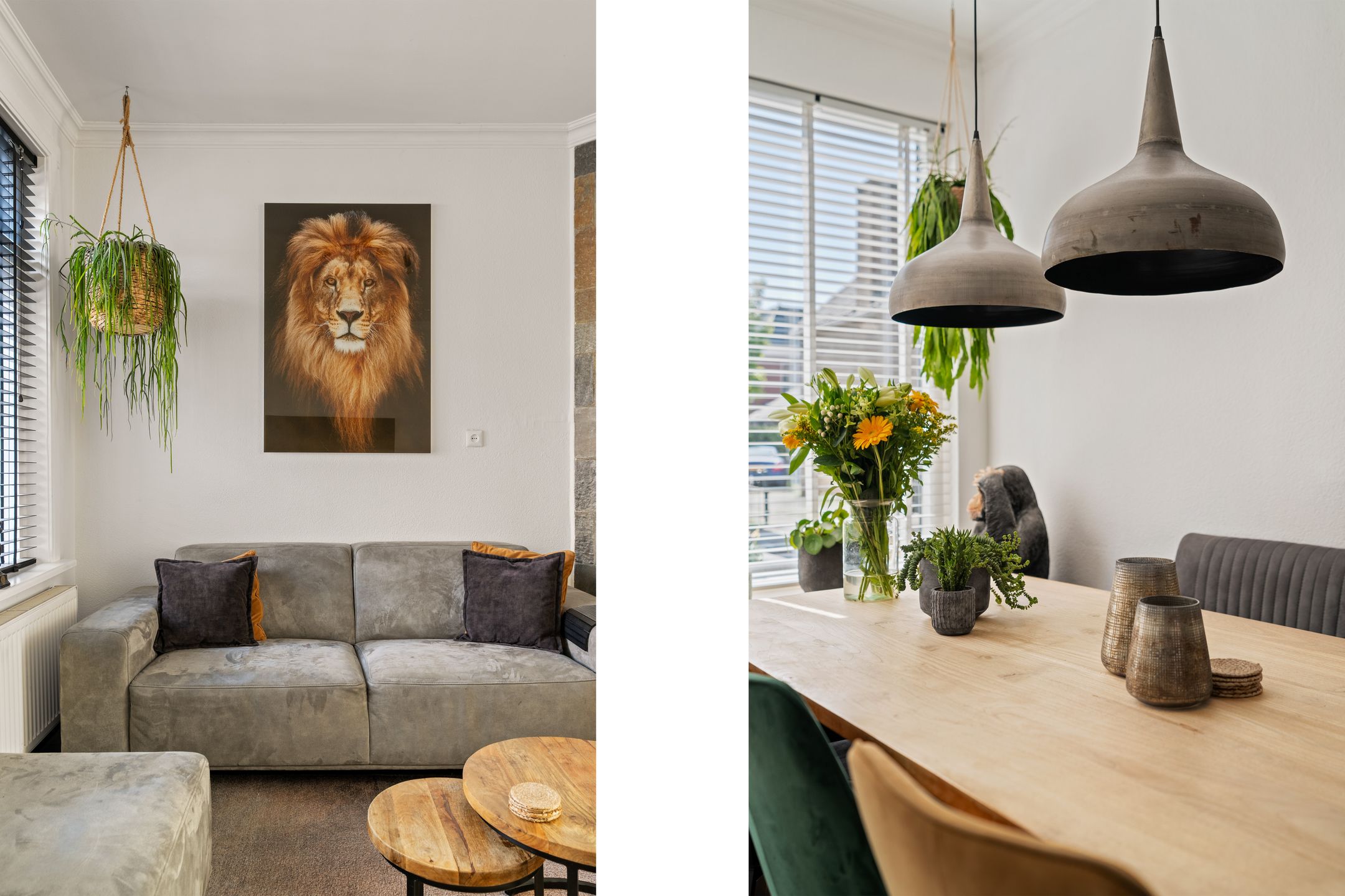 Photo 9 of Zeestraat 8