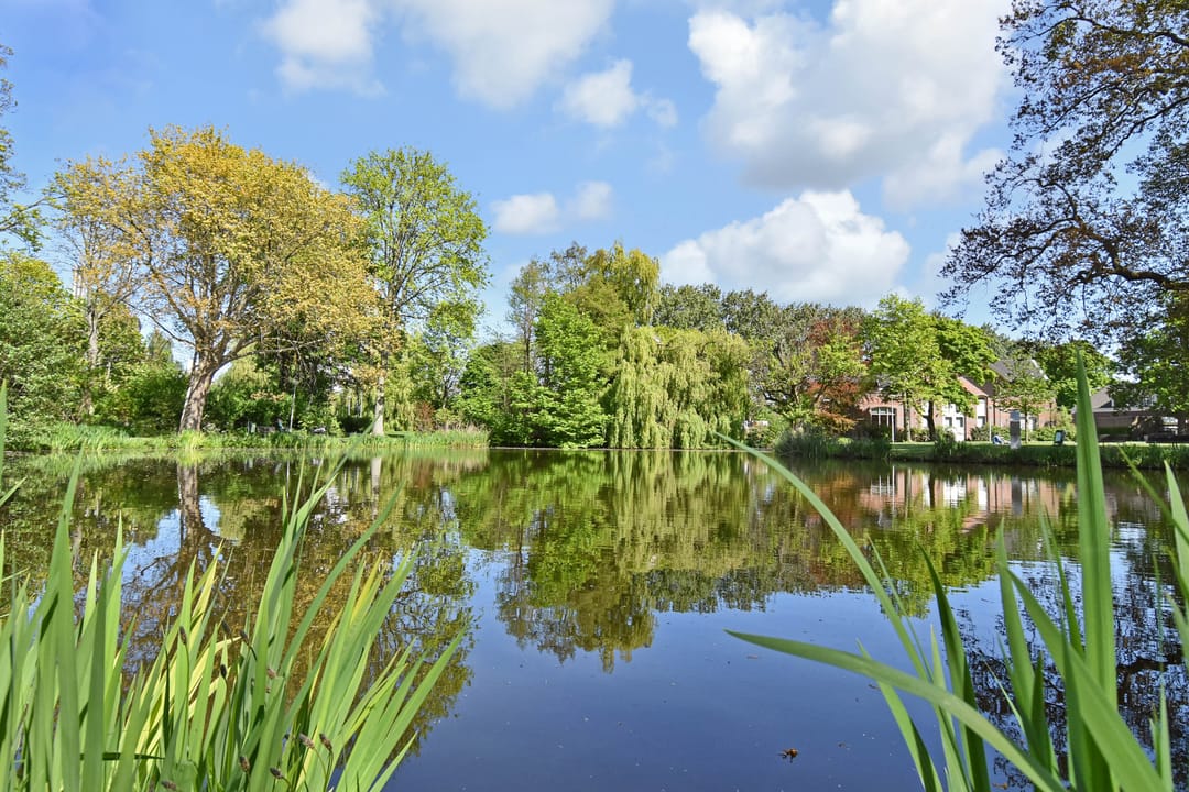 Foto 32 van Pasteurstraat 13