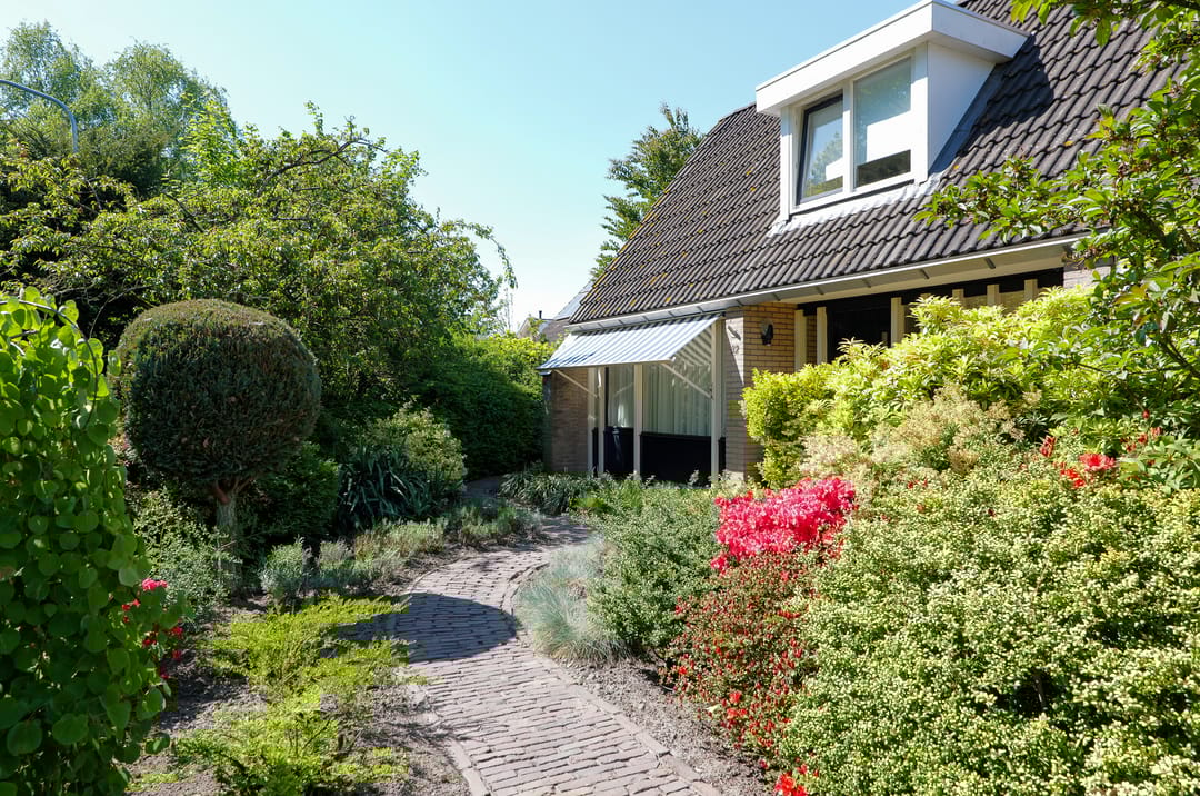 Foto 2 van Schapendrift 32