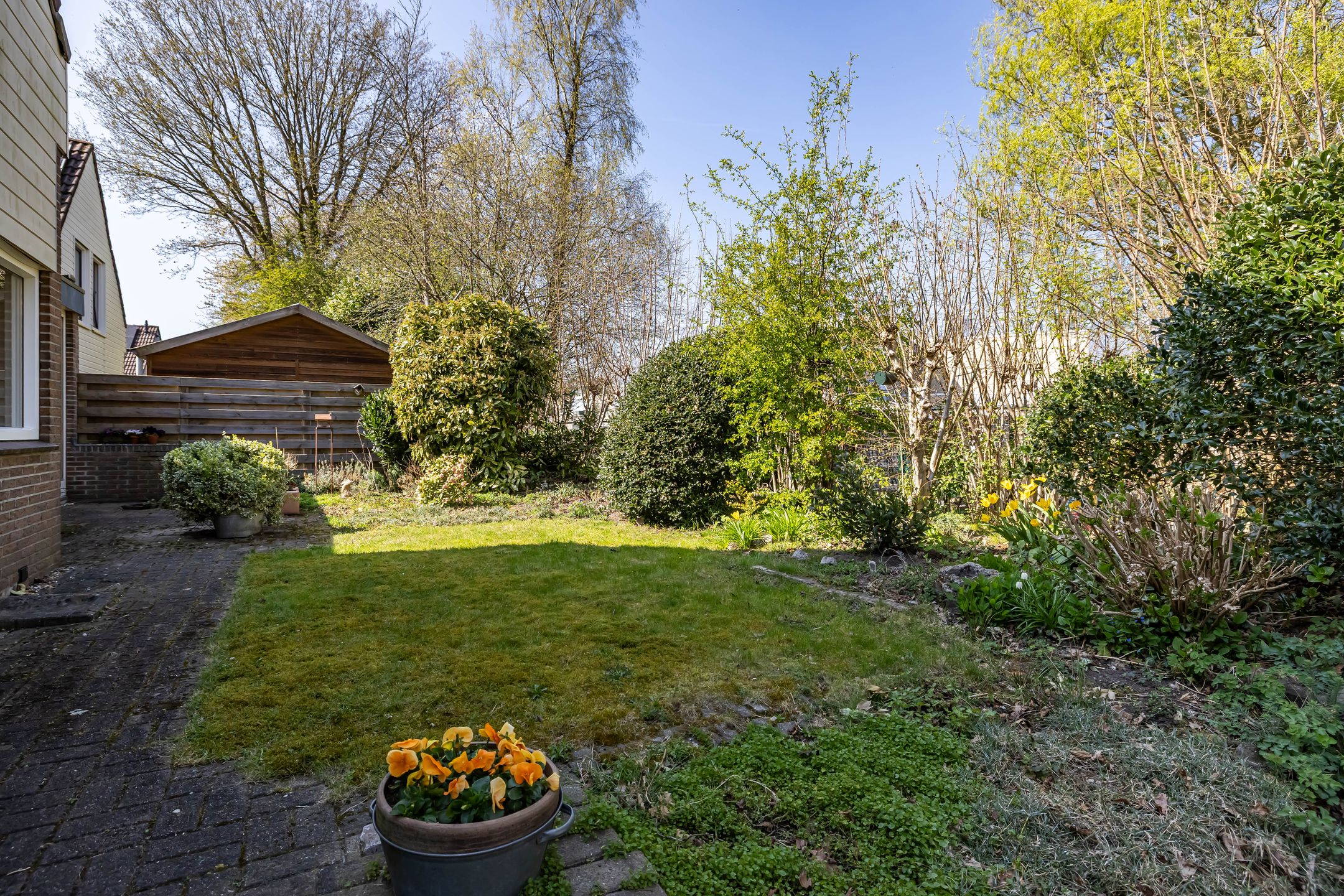 Foto 6 van Merelhof 32