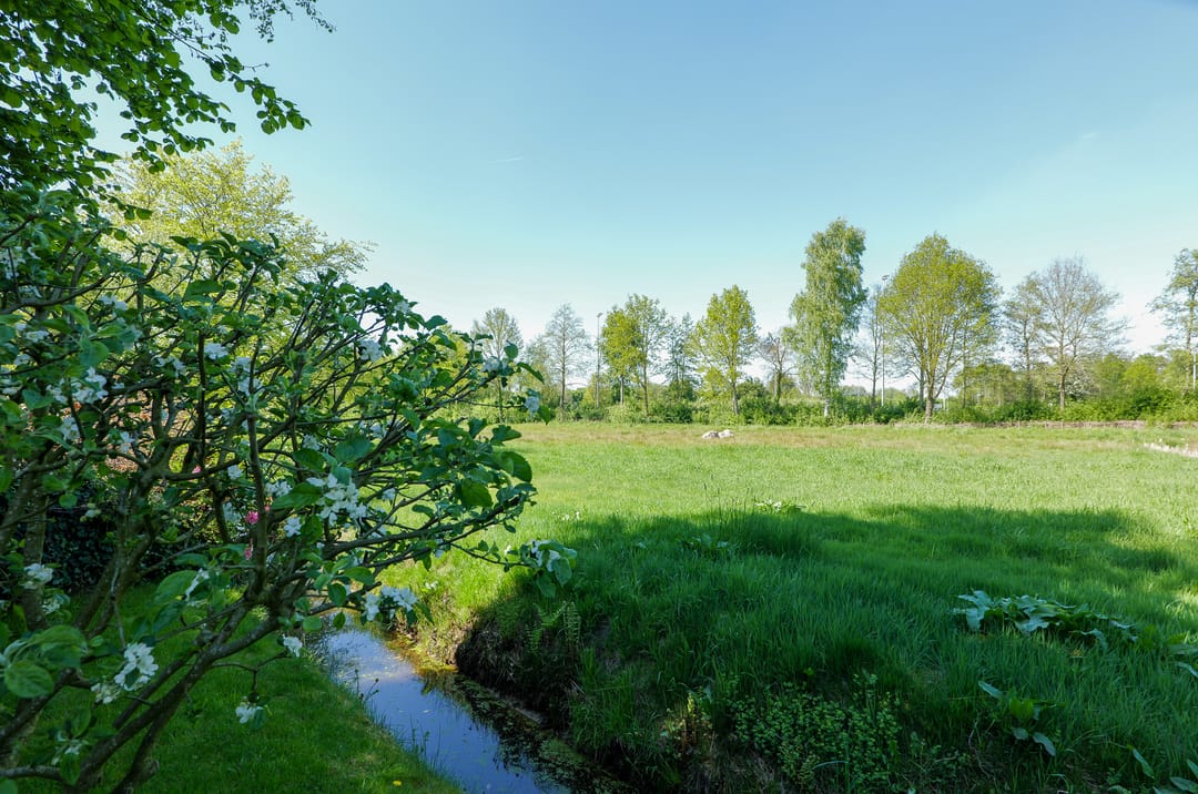 Foto 31 van Schapendrift 32