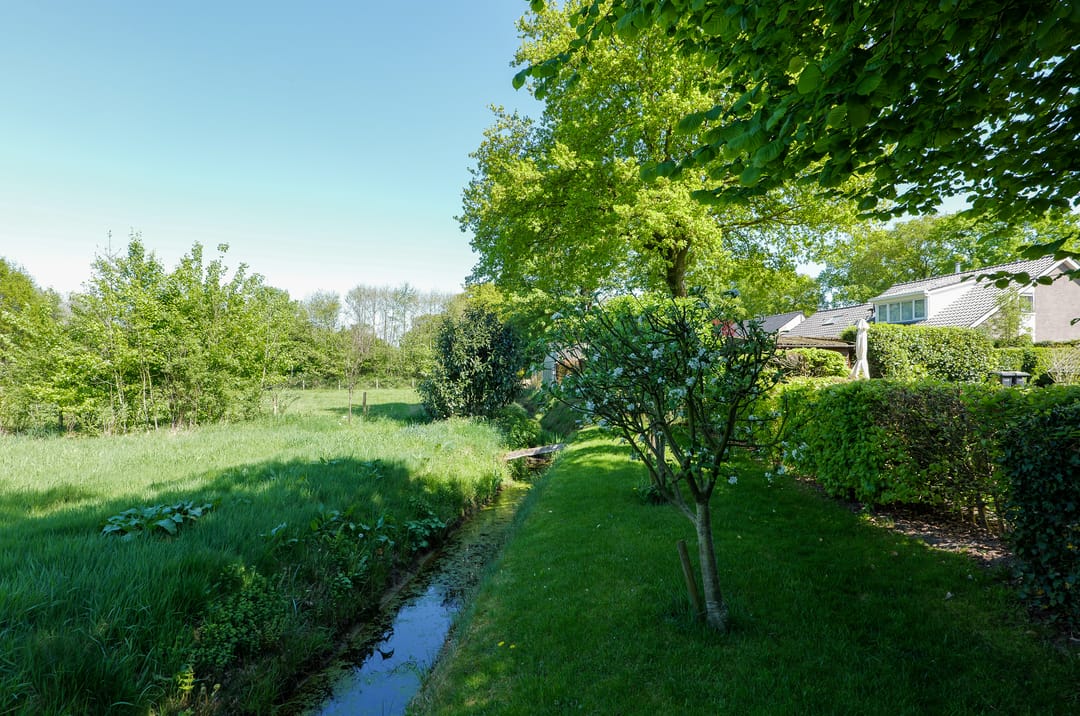 Foto 32 van Schapendrift 32