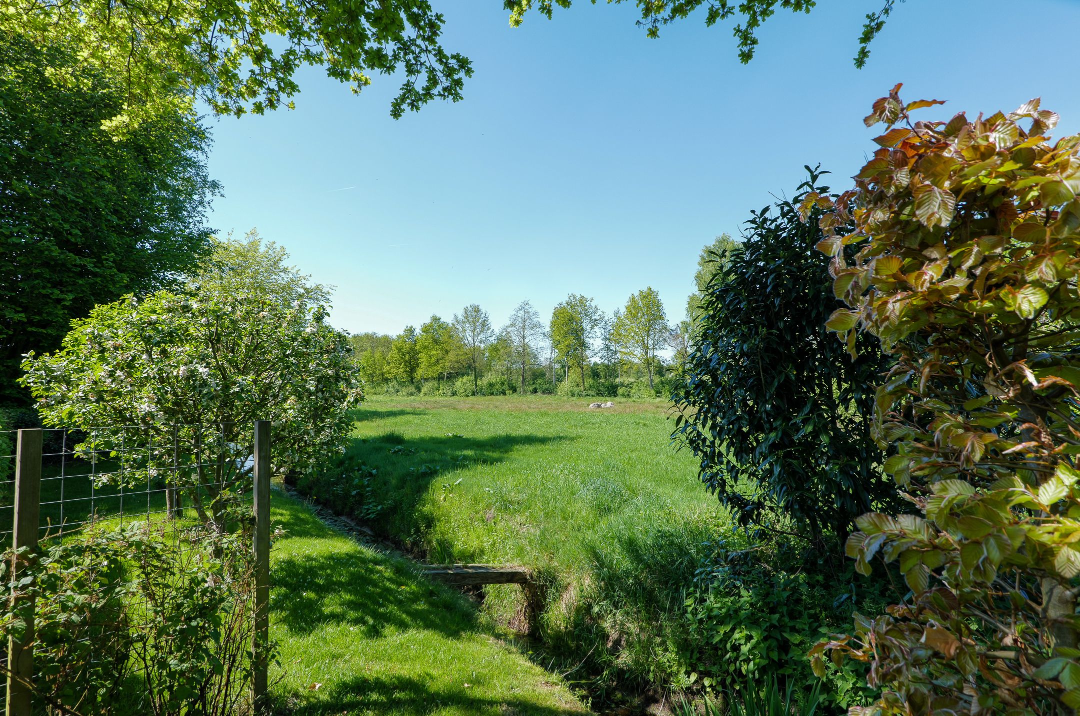 Foto 33 van Schapendrift 32