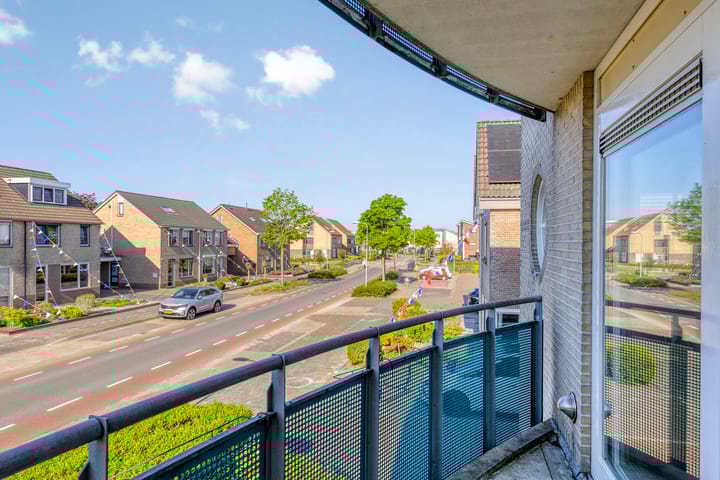 Foto 3 van Roerdomp 5