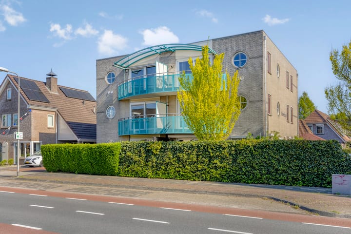 Foto 5 van Roerdomp 5