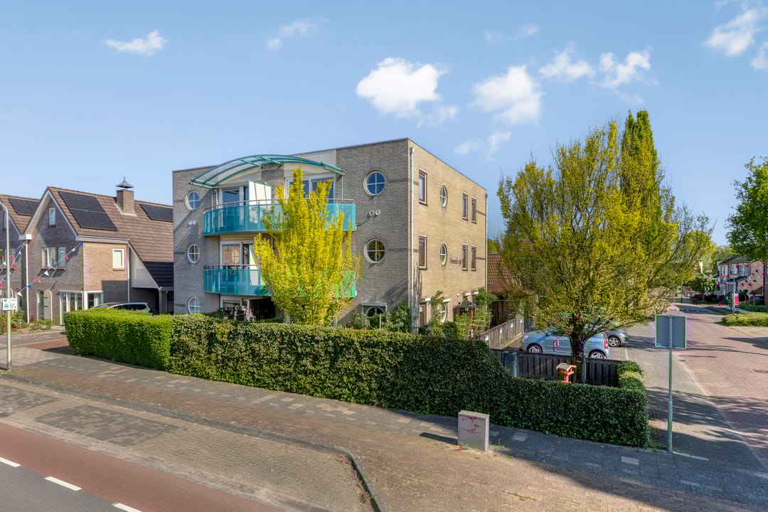 Foto 7 van Roerdomp 5