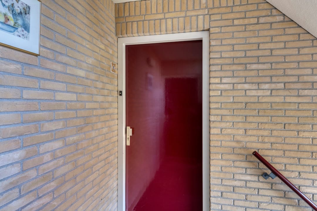 Foto 11 van Roerdomp 5