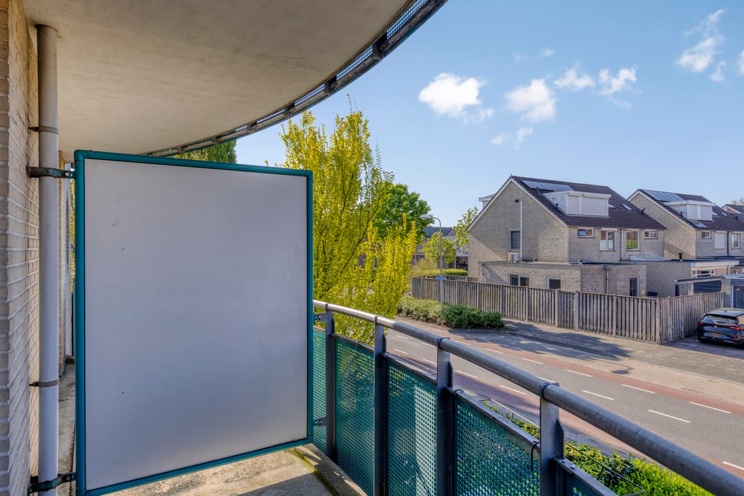 Foto 16 van Roerdomp 5