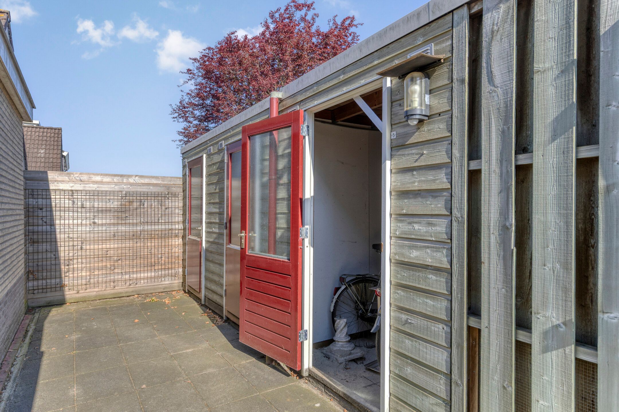 Foto 24 van Roerdomp 5