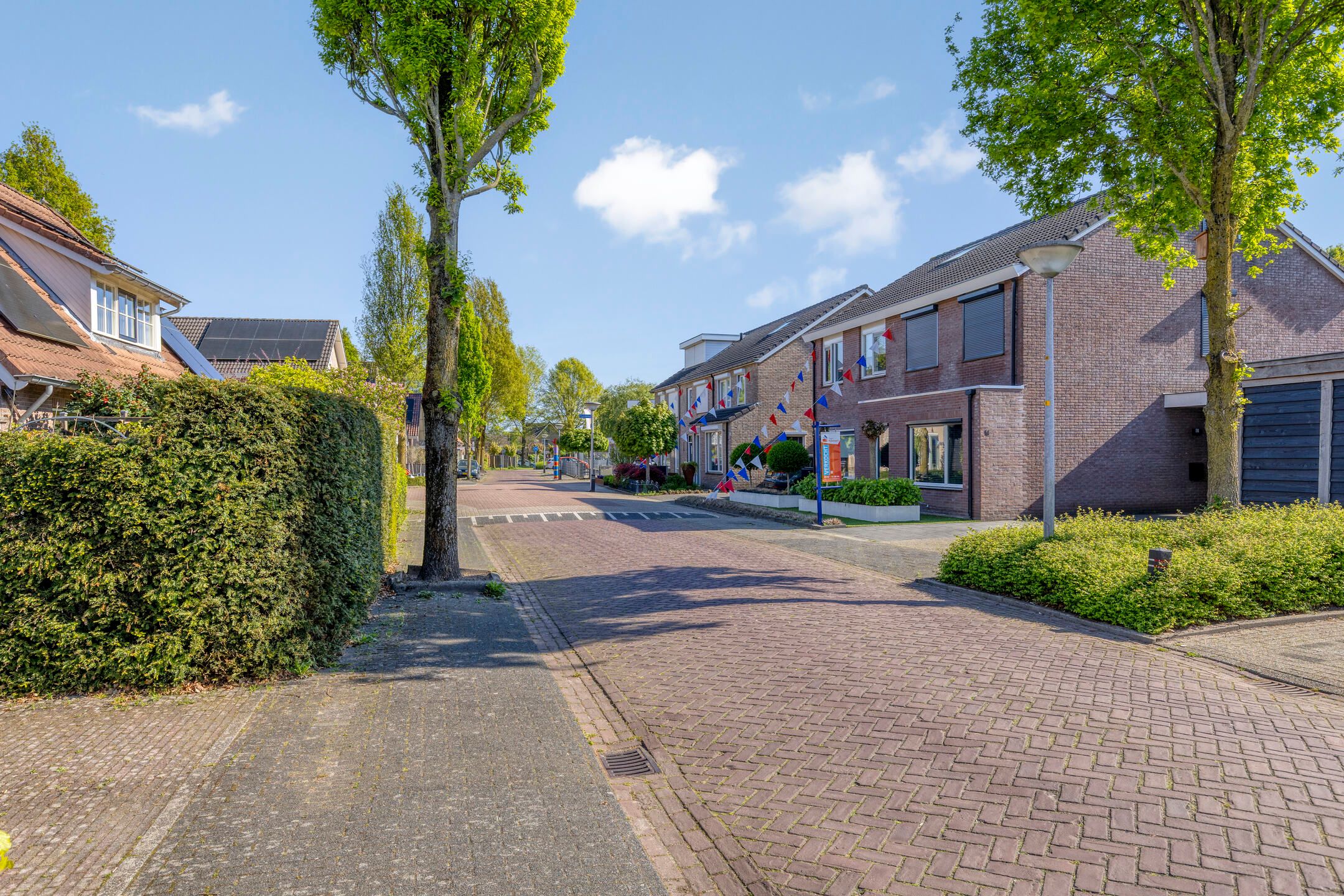 Foto 27 van Roerdomp 5