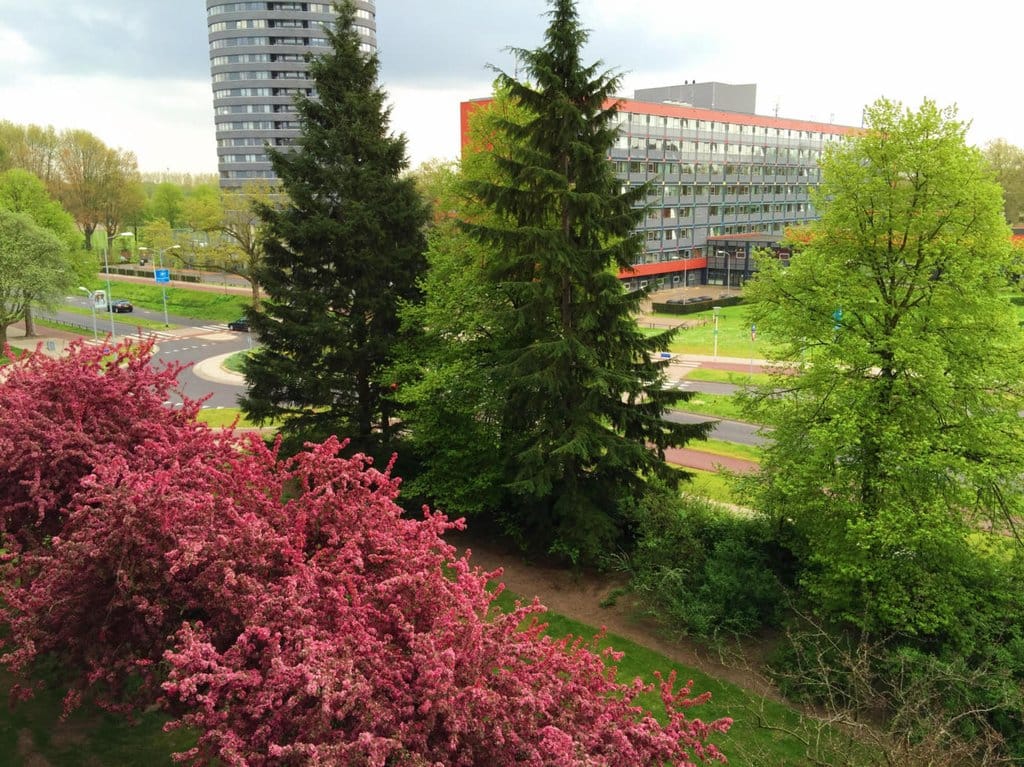 Foto 14 van Penelopestraat 109