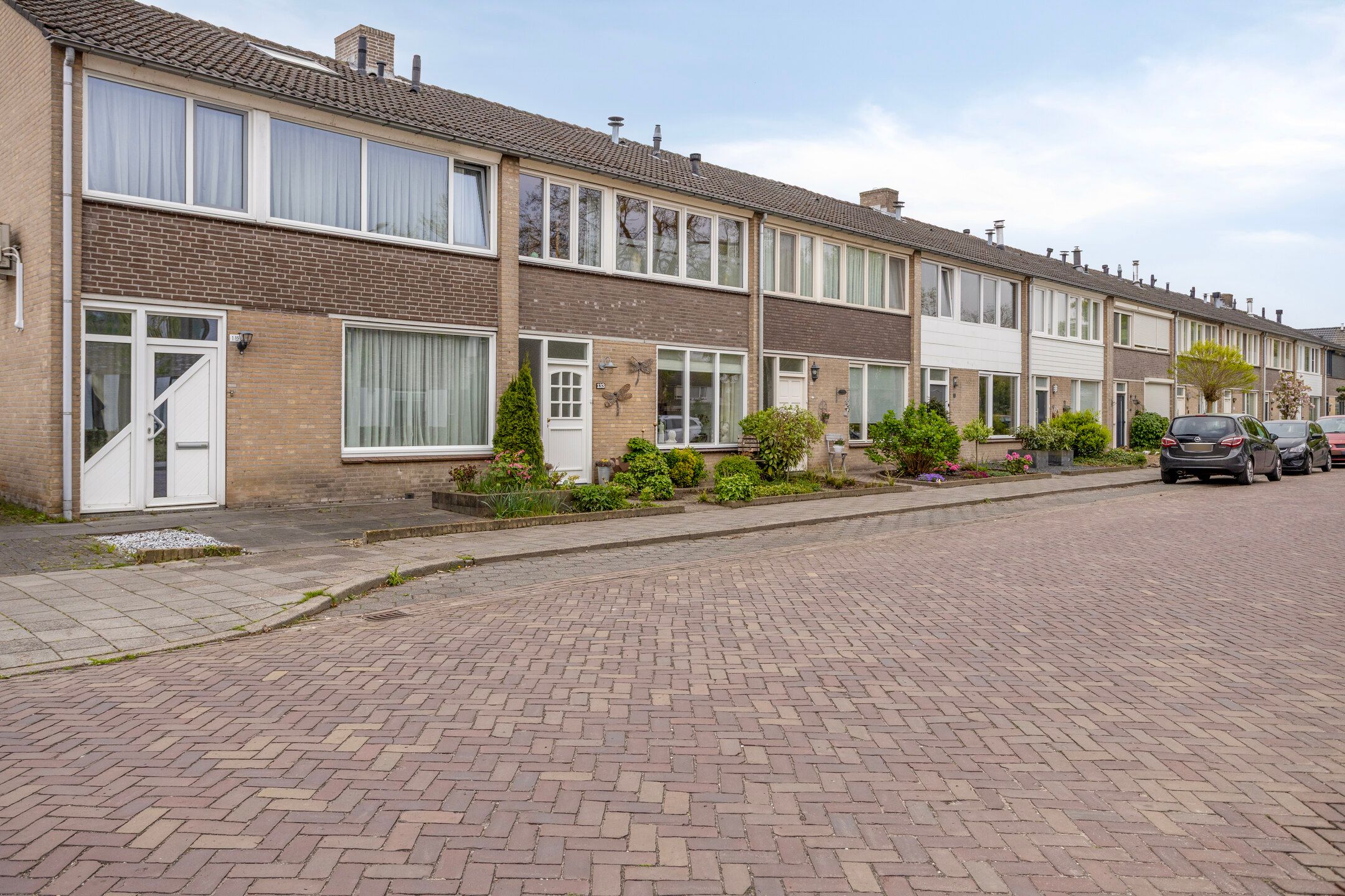 Photo 42 of Bosveld 133