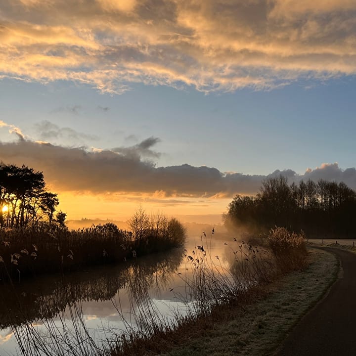 Foto 11 van Hoflaan - Buitenhuis 6P