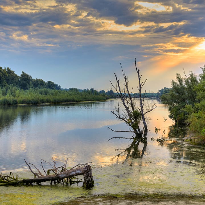 Foto 13 van Hoflaan - Buitenhuis 6P