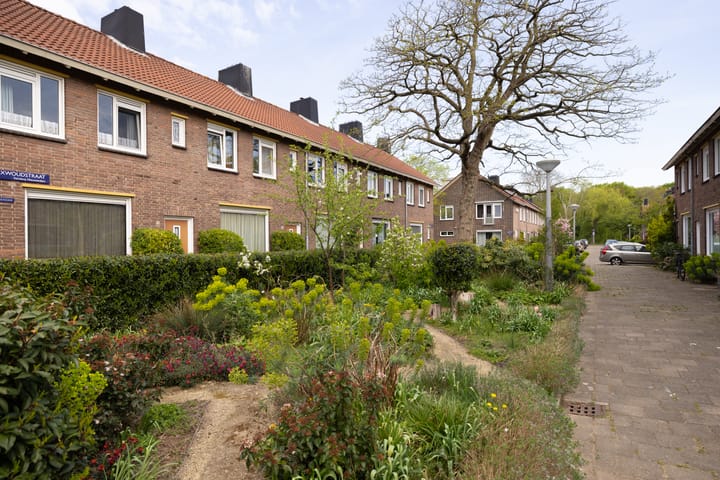 Foto 36 van Medemblikstraat 44